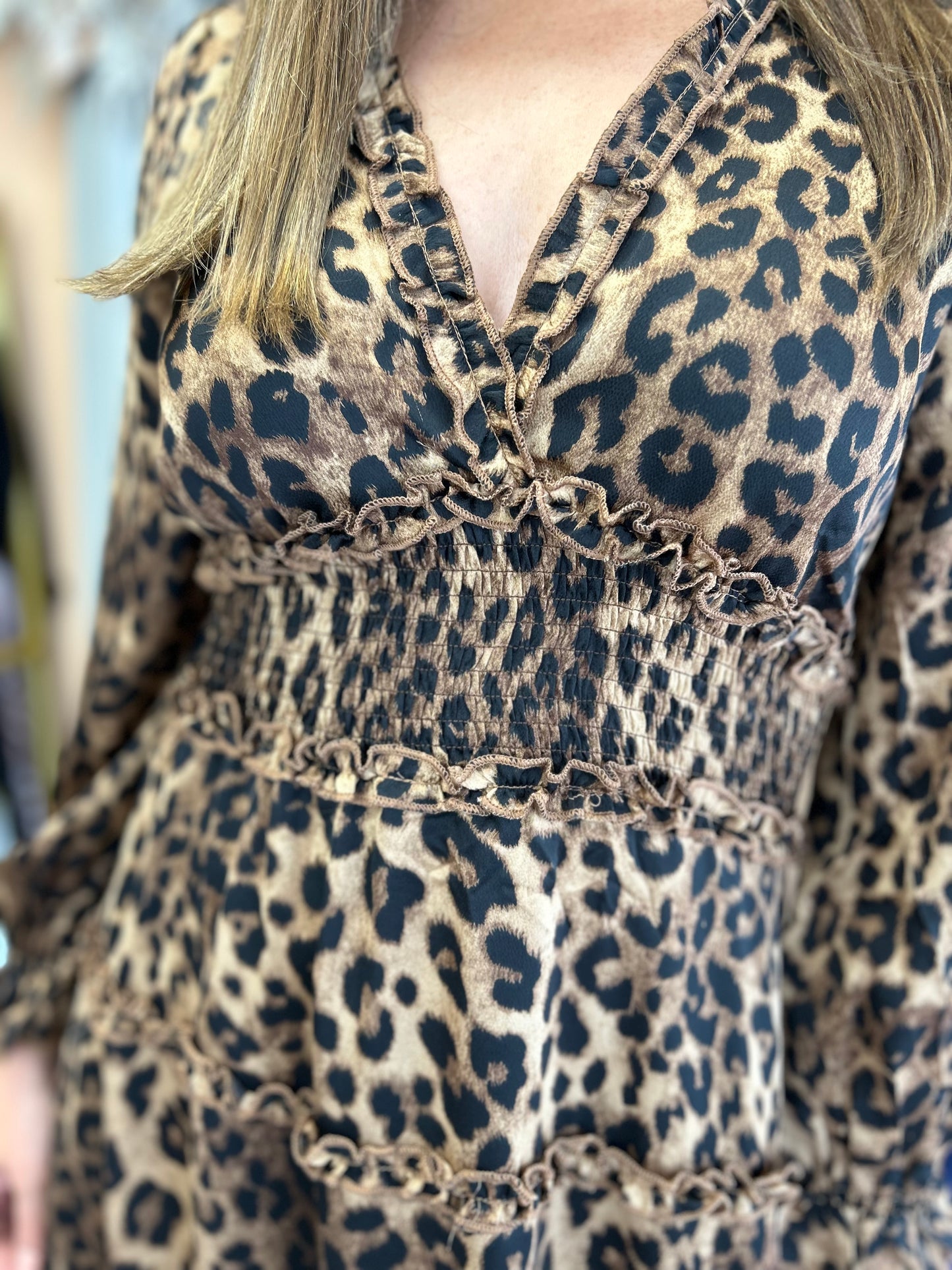 Larragh Leopard Print Dress Brown
