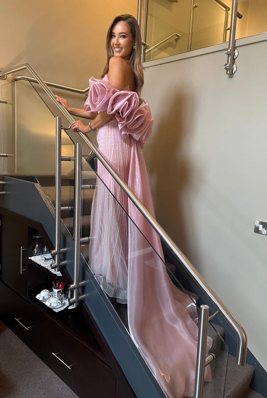 Ariel Gown Blush Pink