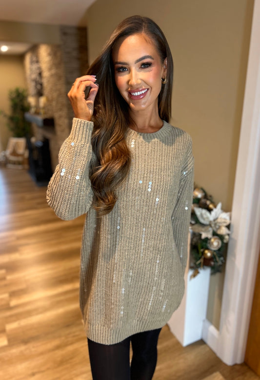 Holly Jumper Dress Taupe