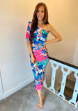 Tessa Dress Blue Multi