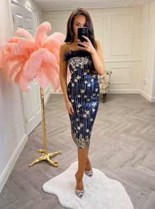 Aoife Sequin Feather Midi Dress